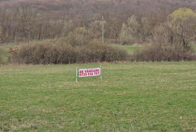 Spațiu comercial, în Cladova - 7
