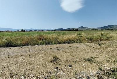 Casă individuală cu 4 camere cu Canalizare în Lăzarea - 20