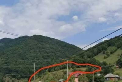 Casă cu 3 camere în Bistra - 2
