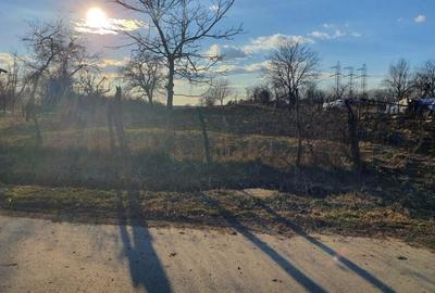 Teren agricol intravilan de 2065 mp, în Cocorăștii Colț - 4