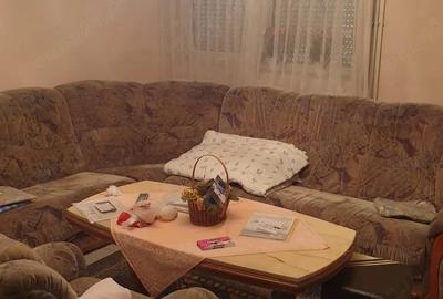 Casă cu Teren 460 Mp în Mehala - 7