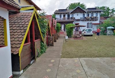 Casă cu 2 camere în Costinești - 10