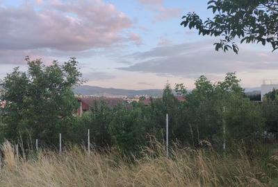 Teren intravilan de 4200 mp, în Dâmbul Rotund - 4