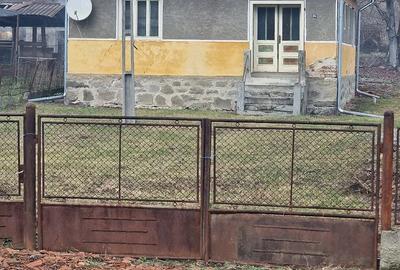 Casă cu 3 camere cu Teren 3300 Mp în Luncoiu de Jos - 1