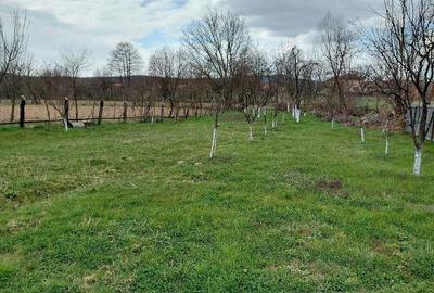 Casă cu 3 camere cu Teren 2158 Mp în Fârdea - 3