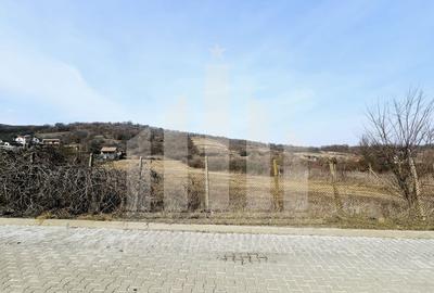 Teren Construcții intravilan de 14000 mp, în Est - 2