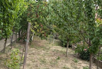 Casă cu 5 camere cu Teren 600 Mp în Podgoria