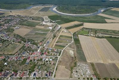 Teren de 6005 mp, în Zădăreni - 2