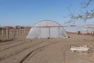 Casă cu Teren 3860 Mp în Borș - 2