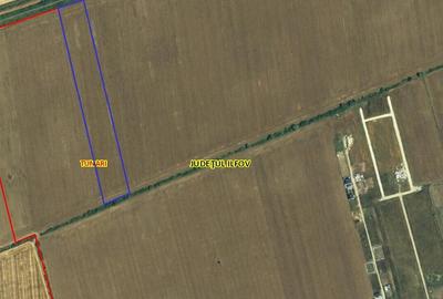 Teren agricol intravilan de 41701 mp, în Dimieni - 4