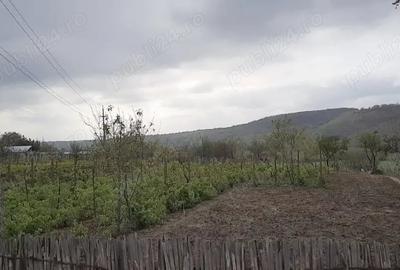 Teren de 1000 mp, în Ijdileni - 2