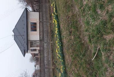 Casă cu 3 camere cu Teren 5000 Mp în Valea Vinului - 2