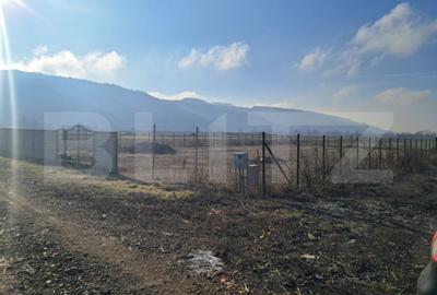 Teren de 8700 mp, în Central