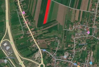 Teren de 5800 mp, în Șoimuș