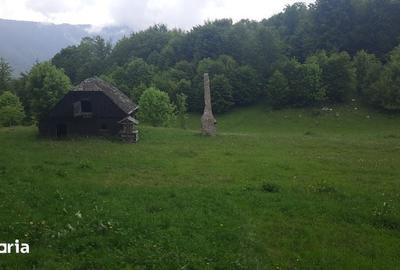 Teren de 1000 mp, în Dâmbovicioara - 2