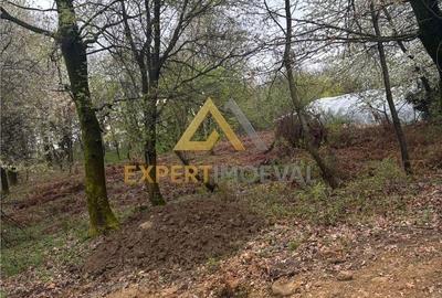 Teren de 1000 mp, în Groși - 7