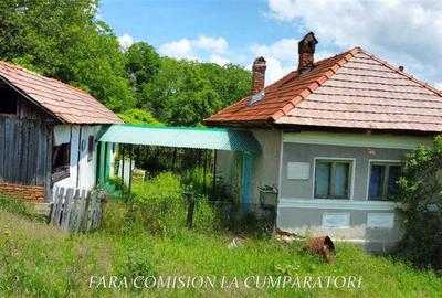 Teren Construcții intravilan de 19822 mp, în Runcu - 12