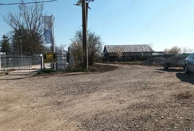 Teren de 4900 mp, în Moara Vlăsiei - 3