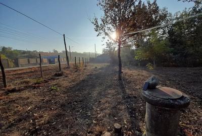 Teren de 2900 mp, în Sălcuța - 1