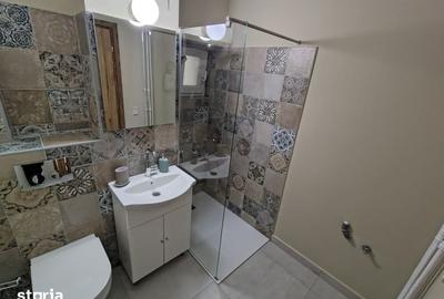 Apartament cu 3 camere semidecomandat, mobilat în Lăpuș Argeș - 10
