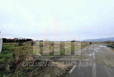 Teren Construcții intravilan de 5500 mp, în Central - 1