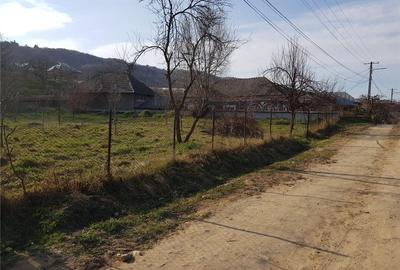 Teren de 2300 mp, în Dragodănești - 3