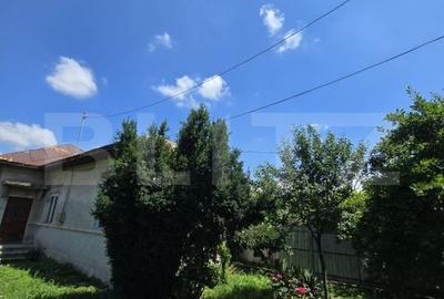 Casă cu 3 camere cu Teren 1500 Mp în Central - 2