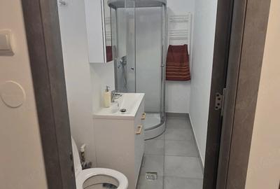 Garsonieră decomandată în Vitan - 8