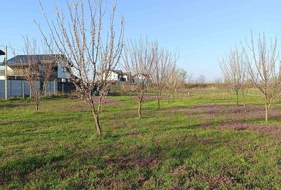 Teren de 6400 mp, în Joița - 9