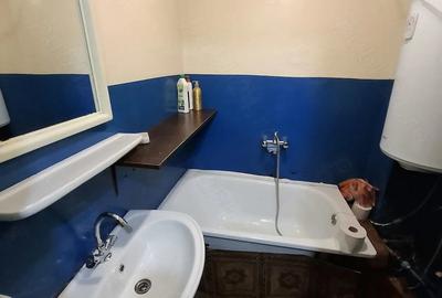 Apartament cu 2 camere nedecomandat în Govândari - 3