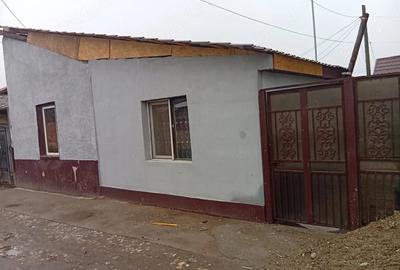 Casă cu 3 camere cu Teren 60 Mp în Șega