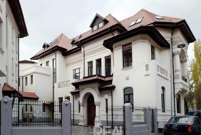 Spațiu comercial, în Romană - 9