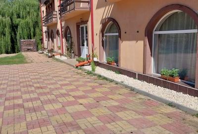 Casă cu 4 camere în Malu cu Flori - 15