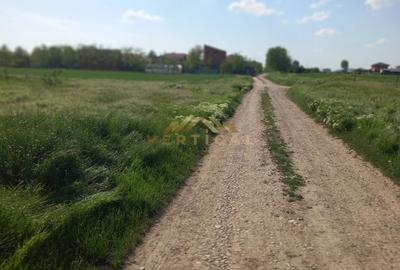 Teren de 350 mp, în Vidra