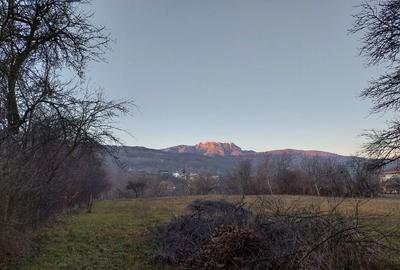 Teren de 3700 mp, în Jiblea Nouă
