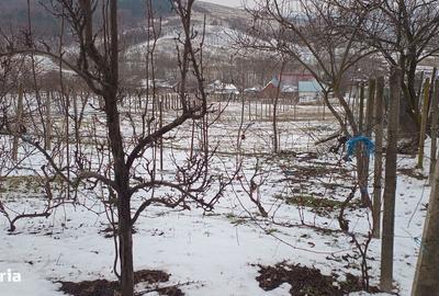 Teren de 704 mp, în Breazu - 12