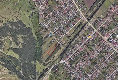 Teren de 3641 mp, în Băjani - 1