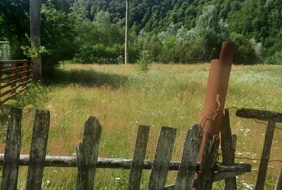 Teren de 1081 mp, în Malaia - 3