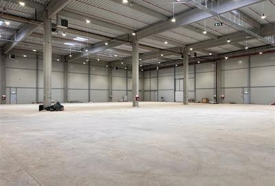 Spațiu industrial, de 3,500 mp, în Florești