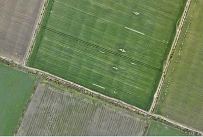 Teren agricol intravilan de 2600 mp, în Ștefăneștii de Jos - 2