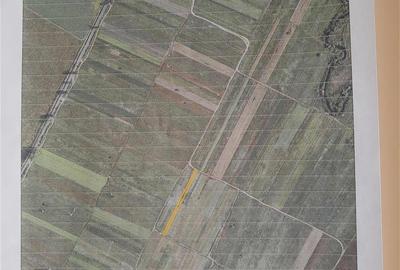 Teren de 1250 mp, în Sud - 3
