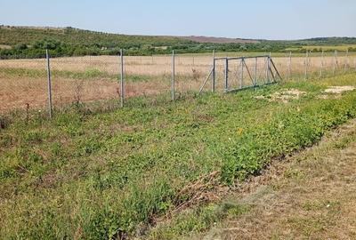 Teren agricol extravilan de 6100 mp, în Pișchia