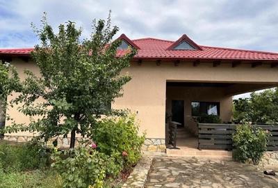 Casă cu 4 camere cu Teren 1700 Mp în Pietroasele