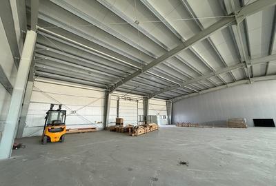 Spațiu industrial, de 850 mp, în Exterior Vest