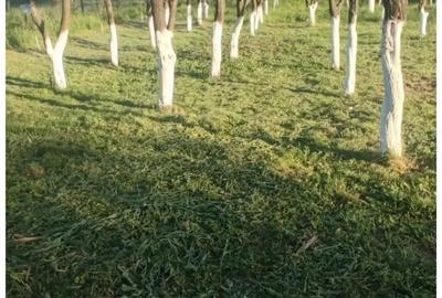 Casă cu 3 camere în Mihăești