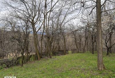 Teren de 1518 mp, în Șotrile - 9