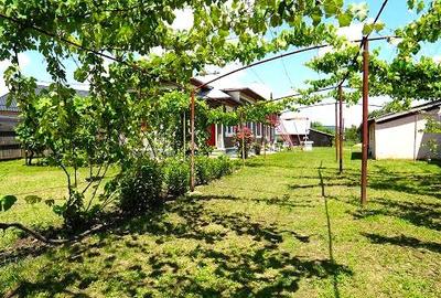 Casă cu 3 camere cu Teren 800 Mp în Teiș - 3