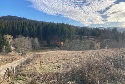 Casă cu Teren 700 Mp în Cheia - 3