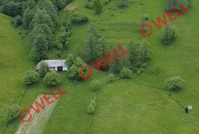 Teren intravilan de 3200 mp, în Barcani - 6