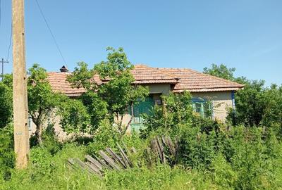 Casă cu 4 camere în Băduleasa